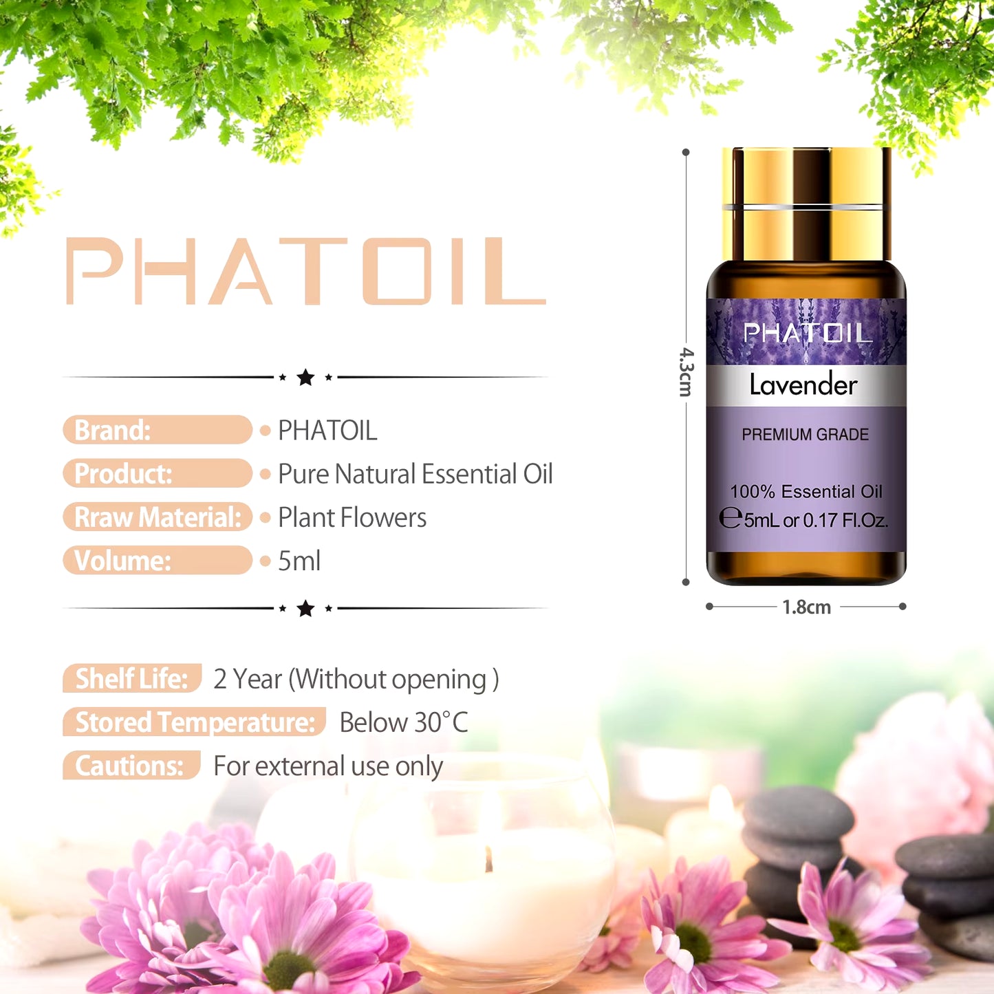 Pure Essential Oils 15Pcs Gift Set Natural Plant Aroma Essential Oil Diffuser Eucalyptus Vanilla Mint Lavender Rose Tea Tree Oil
