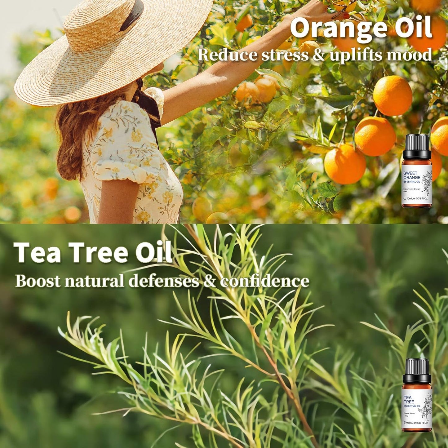 Classical Essential Oils Set, Pure Essential Oil, Lavender Tea Tree Eucalyptus Peppermint Orange Lemongrass for Diffusers Home Humidifier Candle Soap Making -6X10Ml